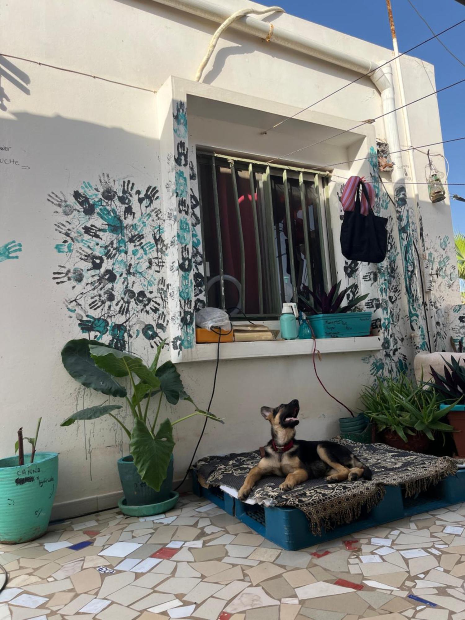 Dar Dyali Rooftop ⁿᵉᵃʳ ⁿᵍᵒʳ ᵇᵉᵃᶜʰ ᵃⁿᵈ ⁱˢˡᵃⁿᵈ Dakar Ngoại thất bức ảnh