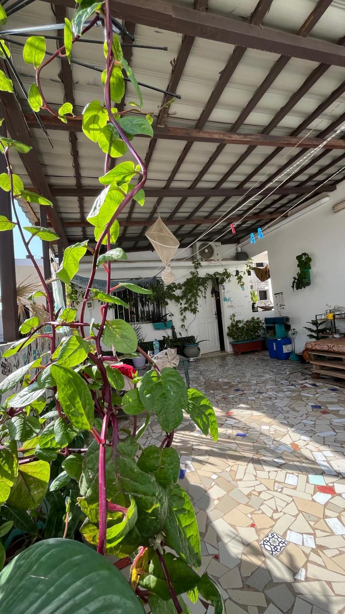 Dar Dyali Rooftop ⁿᵉᵃʳ ⁿᵍᵒʳ ᵇᵉᵃᶜʰ ᵃⁿᵈ ⁱˢˡᵃⁿᵈ Dakar Ngoại thất bức ảnh